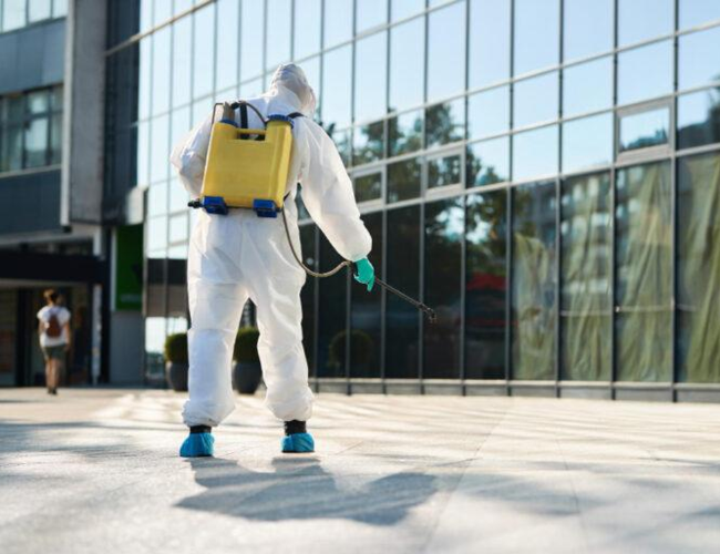 Home mahesh pest control service